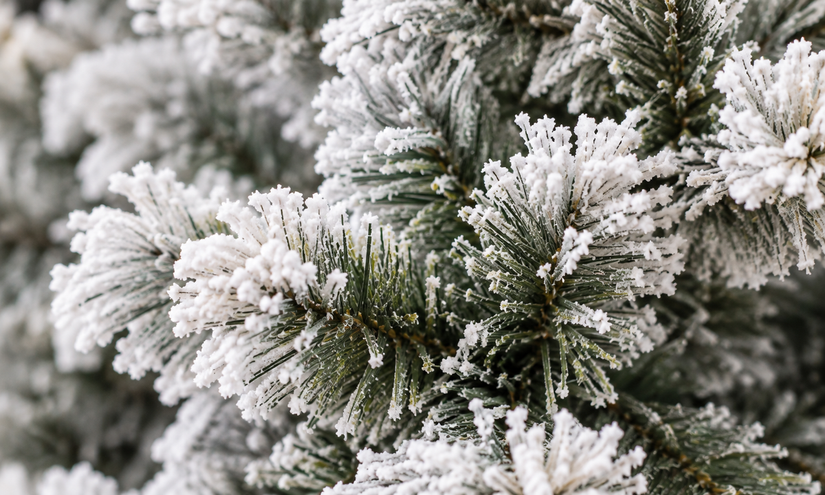 Flocked Christmas Tree with Pre-Lit Warm White Lights - Realism
