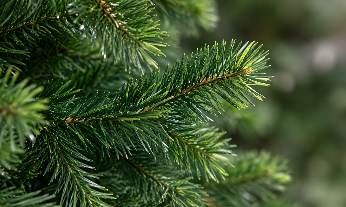 Green Pre-Lit Pathway Christmas Trees with Red Ornaments - Realism