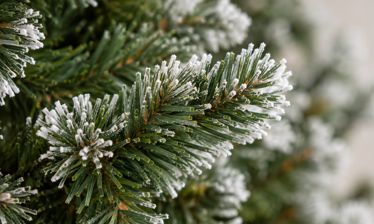 Snow Flocked Christmas Tree with Natural Pinecones - Realism